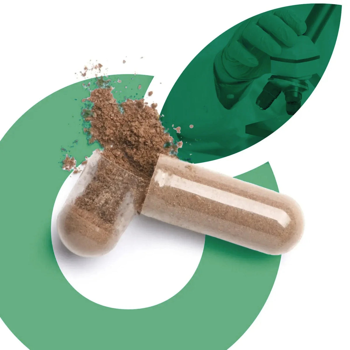 Herbal extract capsule