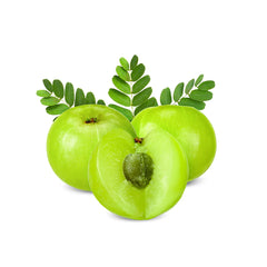 Bhumi Amla (Phyllanthus niruri)