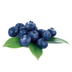 Bilberry